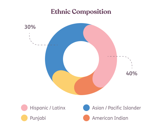 Ethnic Composition illustration